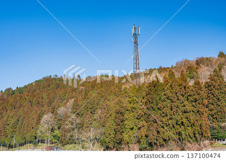 Coniferous forest with a steel tower, Nagahara, Nagahama City, Shiga Prefecture 137100474