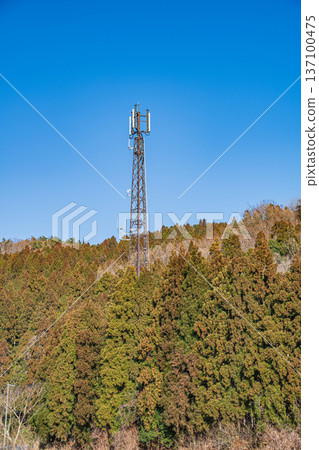 滋賀縣長濱市長原町，針葉林中聳立著一座鋼塔 137100475