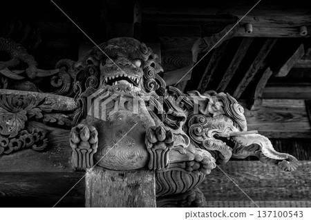 獅子和巴庫 137100543