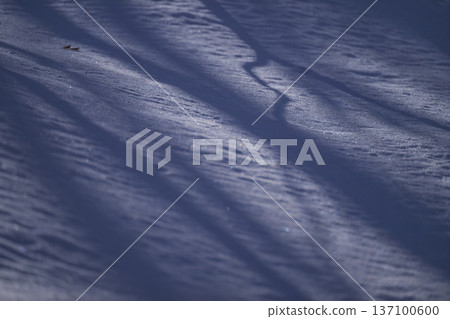 大地被雪覆蓋 大地被雪覆蓋 137100600