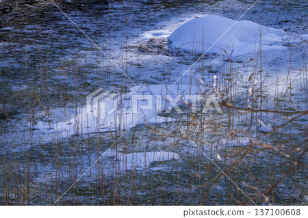 Frozen Swamp 137100608