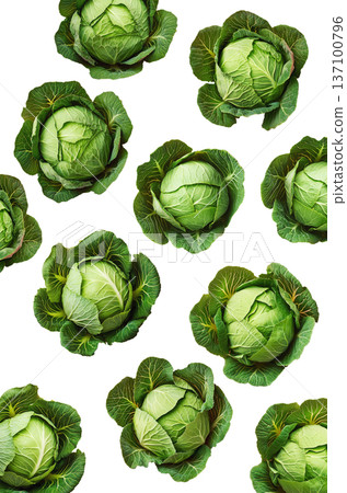 Fresh cabbage heads with rich green textured leaves isolated on white background, healthy organic produce 137100796