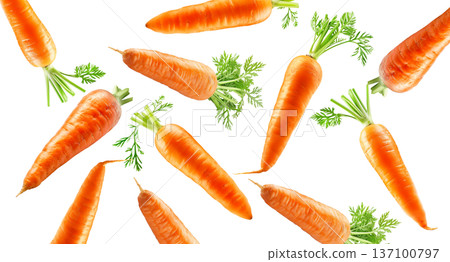 Bunches of fresh orange carrots with green tops arranged in a scattered layout isolated on white background, organic healthy food Bunches of fresh orange carrots with green tops arranged in a scattered layout isolated on white background, organic healthy food 137100797