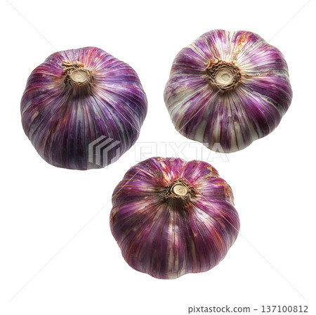 Whole purple garlic bulbs arranged in a scattered seamless pattern, isolated on white background, concept of organic food 137100812