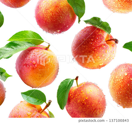 Juicy red-yellow plums and nectarines with dew drops and green leaves, isolated on white background, freshness and summer fruit Juicy red-yellow plums and nectarines with dew drops and green leaves, isolated on white background, freshness and summer fruit 137100843