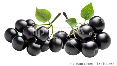Fresh ripe black jamun fruits or jabuticaba with green leaves, isolated on white background. Concept of tropical summer fruits Fresh ripe black jamun fruits or jabuticaba with green leaves, isolated on white background. Concept of tropical summer fruits 137100862