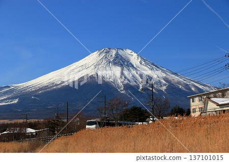 View of Mt. Fuji, Fuji-san, as seen from the shore of Lake Yamanakako during the winter. In Yamanashi prefecture, Japan View of Mt. Fuji, Fuji-san, as seen from the shore of Lake Yamanakako during the winter. In Yamanashi prefecture, Japan 137101015