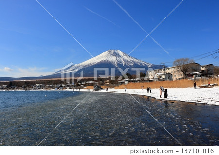 View of Mt. Fuji, Fuji-san, as seen from the shore of Lake Yamanakako during the winter. In Yamanashi prefecture, Japan View of Mt. Fuji, Fuji-san, as seen from the shore of Lake Yamanakako during the winter. In Yamanashi prefecture, Japan 137101016
