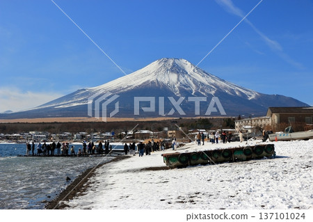 View of Mt. Fuji, Fuji-san, as seen from the shore of Lake Yamanakako during the winter. In Yamanashi prefecture, Japan View of Mt. Fuji, Fuji-san, as seen from the shore of Lake Yamanakako during the winter. In Yamanashi prefecture, Japan 137101024