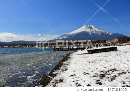 View of Mt. Fuji, Fuji-san, as seen from the shore of Lake Yamanakako during the winter. In Yamanashi prefecture, Japan View of Mt. Fuji, Fuji-san, as seen from the shore of Lake Yamanakako during the winter. In Yamanashi prefecture, Japan 137101025