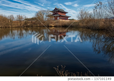 冬天的平城宮遺跡，大極殿 137101149