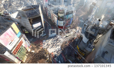 A landscape overlooked 137101345