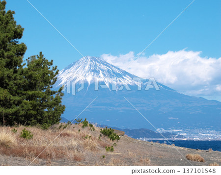 從美保松原眺望富士山 137101548