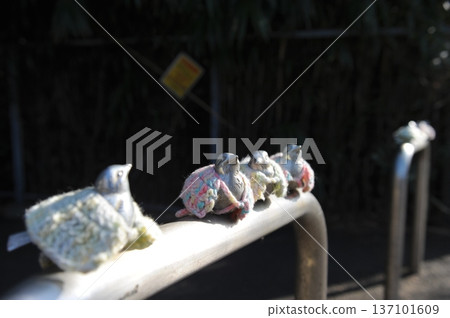 Birds of Steel 137101609