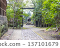 cobblestone road surrounded by greenery 137101679