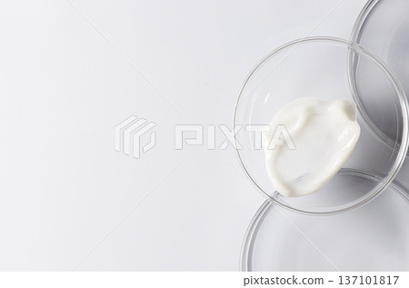 Moisturizing cosmetic skin cream in a Petri dish. Copy space 137101817