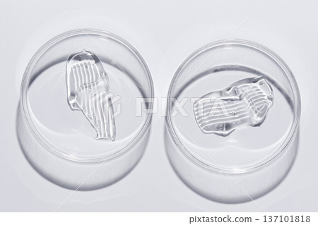 Moisturizing cosmetic skin cream in a Petri dish. Moisturizing cosmetic skin cream in a Petri dish. 137101818