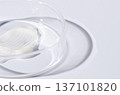 Moisturizing cosmetic skin cream in a Petri dish. 137101820