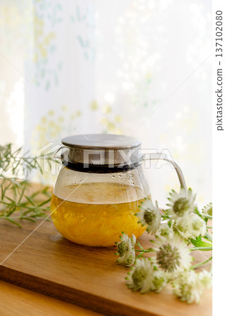 與草藥一起生活 與草藥一起生活 137102080