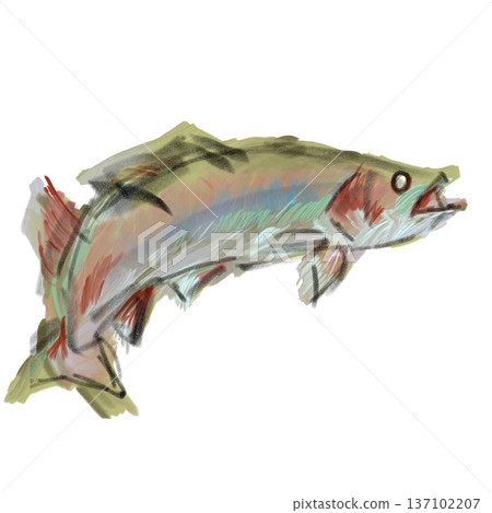 Rainbow trout painted in watercolor 137102207