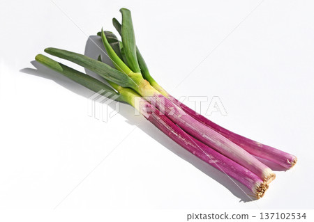 青蔥（紅洋蔥） 137102534