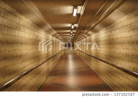 Subway Tunnel with Tiled Walls and Red Brick Floor 137102587