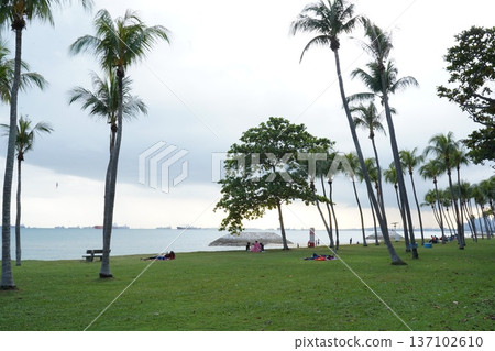 Tropical Beach Scene with Palm Trees and People Tropical Beach Scene with Palm Trees and People 137102610