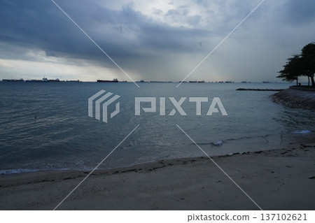 Gloomy Beach Scene with Ships on the Horizon Gloomy Beach Scene with Ships on the Horizon 137102621