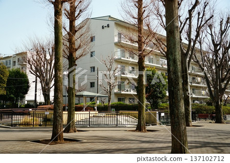 神奈川縣相模原市南區宗武台綠園景色 137102712