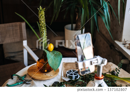 Smartphone on white tripod records video of minimalist floral arrangement with tall stalk and yellow fruit. educational social media, masterclass, botanical education, interactive content Smartphone on white tripod records video of minimalist floral arrangement with tall stalk and yellow fruit. educational social media, masterclass, botanical education, interactive content 137102807