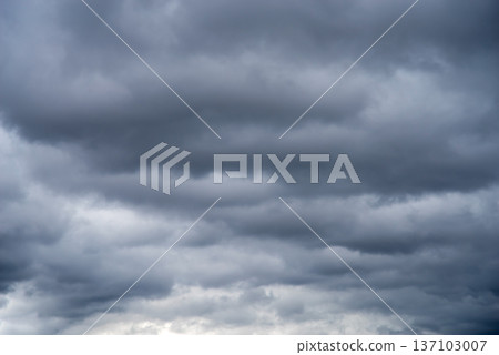 陰天[負片] 137103007