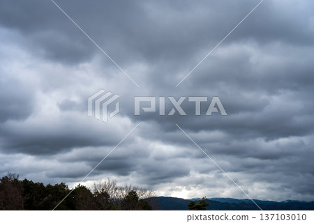 陰天[負片] 137103010