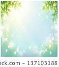 新鮮的綠色背景 137103188