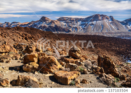 Scenic sunny view of a dried endemic tajinaste plant among reddish volcanic rocks and snow-dusted mountains at Tabonal Negro in Tenerife. Scenic sunny view of a dried endemic tajinaste plant among reddish volcanic rocks and snow-dusted mountains at Tabonal Negro in Tenerife. 137103504