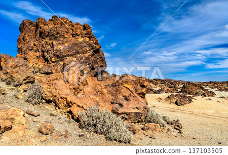 Scenic sunny view of large reddish-brown volcanic rock formations and desert shrubs in the pumice landscape of Minas de San Jose in Teide National Park, Tenerife. Scenic sunny view of large reddish-brown volcanic rock formations and desert shrubs in the pumice landscape of Minas de San Jose in Teide National Park, Tenerife. 137103505