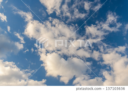 冬日傍晚，藍天白雲，閃閃發光。 11 137103636