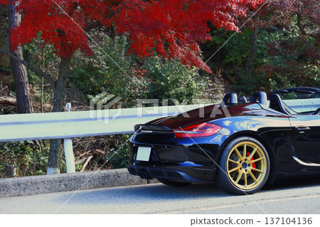 Autumn leaves and a black convertible 137104136