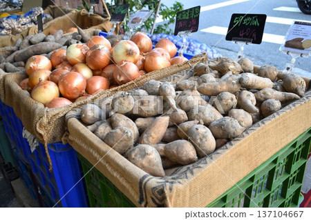 台灣蔬果商 137104667