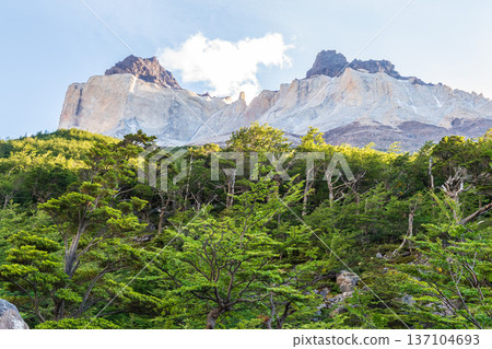 Hiking the W-Trek in Torres Del Paine 137104693