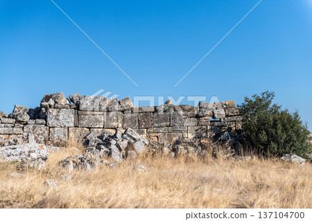 Ancient Ruins of Hierapolis 137104700