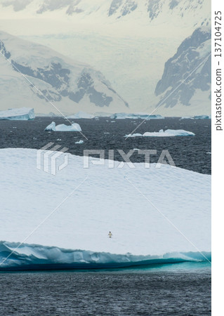 Landscape of the Antarctic Peninsula 137104725