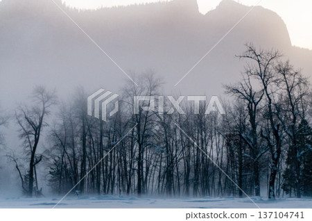Misty Winter evening in yostemite valley 137104741