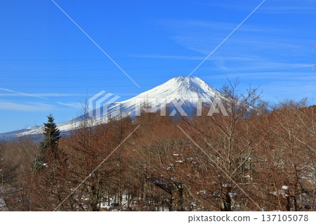 View of Mt. Fuji from the Marriott Hotel at Lake Yamanakako in Yamanashi prefecture of Japan in the morning View of Mt. Fuji from the Marriott Hotel at Lake Yamanakako in Yamanashi prefecture of Japan in the morning 137105078