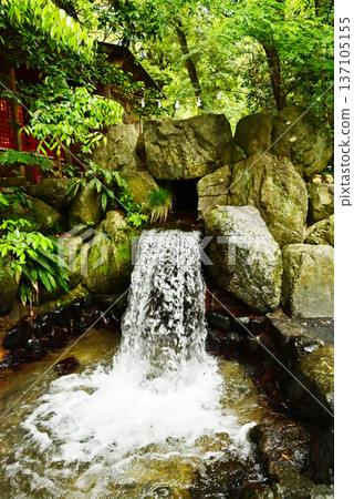 Tsubaki Grand Shrine surrounded by fresh greenery and Kanae Falls, Japan's oldest shrine, a tourist spot in Mie Tsubaki Grand Shrine surrounded by fresh greenery and Kanae Falls, Japan's oldest shrine, a tourist spot in Mie 137105155