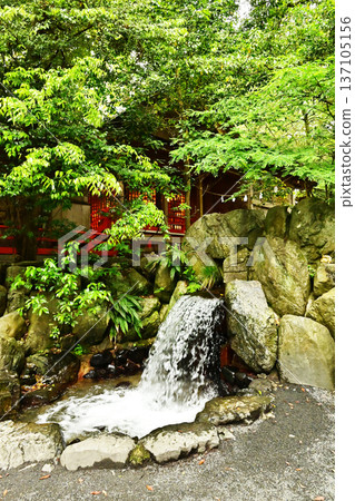 Tsubaki Grand Shrine surrounded by fresh greenery and Kanae Falls, Japan's oldest shrine, a tourist spot in Mie Tsubaki Grand Shrine surrounded by fresh greenery and Kanae Falls, Japan's oldest shrine, a tourist spot in Mie 137105156
