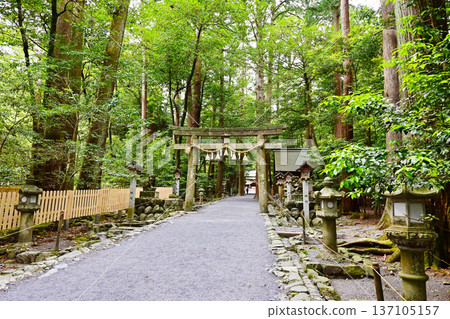 Tsubaki Grand Shrine, Japan's oldest shrine, surrounded by fresh greenery, a tourist spot in Mie Tsubaki Grand Shrine, Japan's oldest shrine, surrounded by fresh greenery, a tourist spot in Mie 137105157