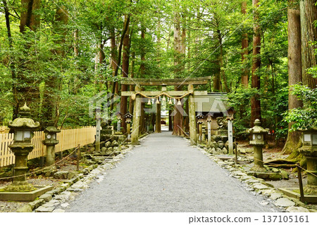 Tsubaki Grand Shrine, Japan's oldest shrine, surrounded by fresh greenery, a tourist spot in Mie Tsubaki Grand Shrine, Japan's oldest shrine, surrounded by fresh greenery, a tourist spot in Mie 137105161
