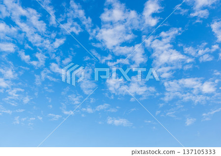 Scale clouds in the winter morning sky 14 Scale clouds in the winter morning sky 14 137105333