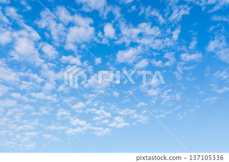 Scale clouds in the winter morning sky 16 Scale clouds in the winter morning sky 16 137105336
