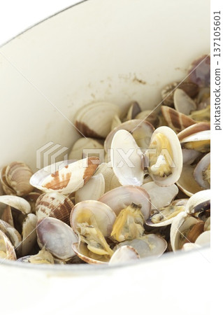 Steamed bamboo clam Steamed bamboo clam 137105601